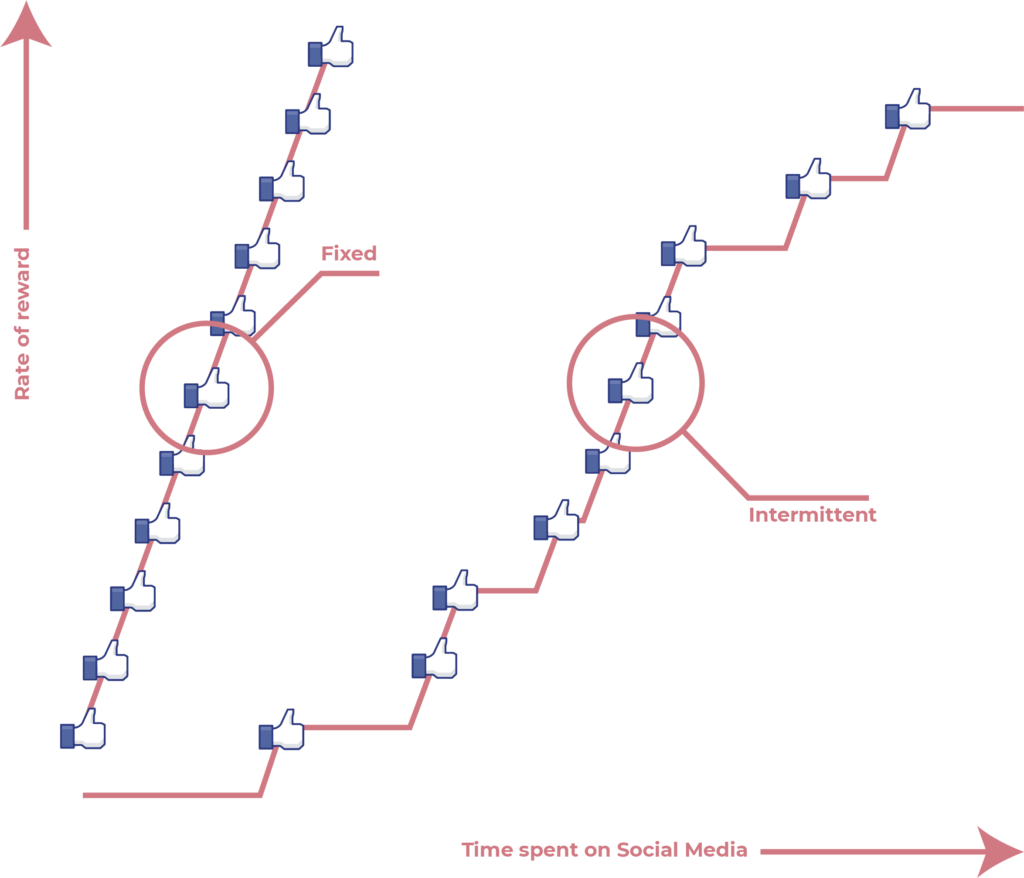 Reward Addiction Dopamine